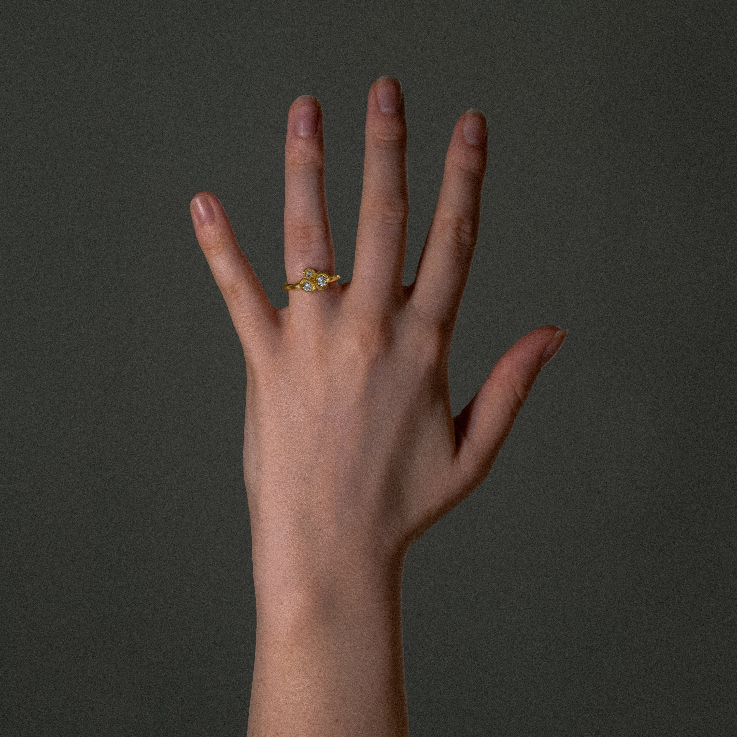 FIA RING
