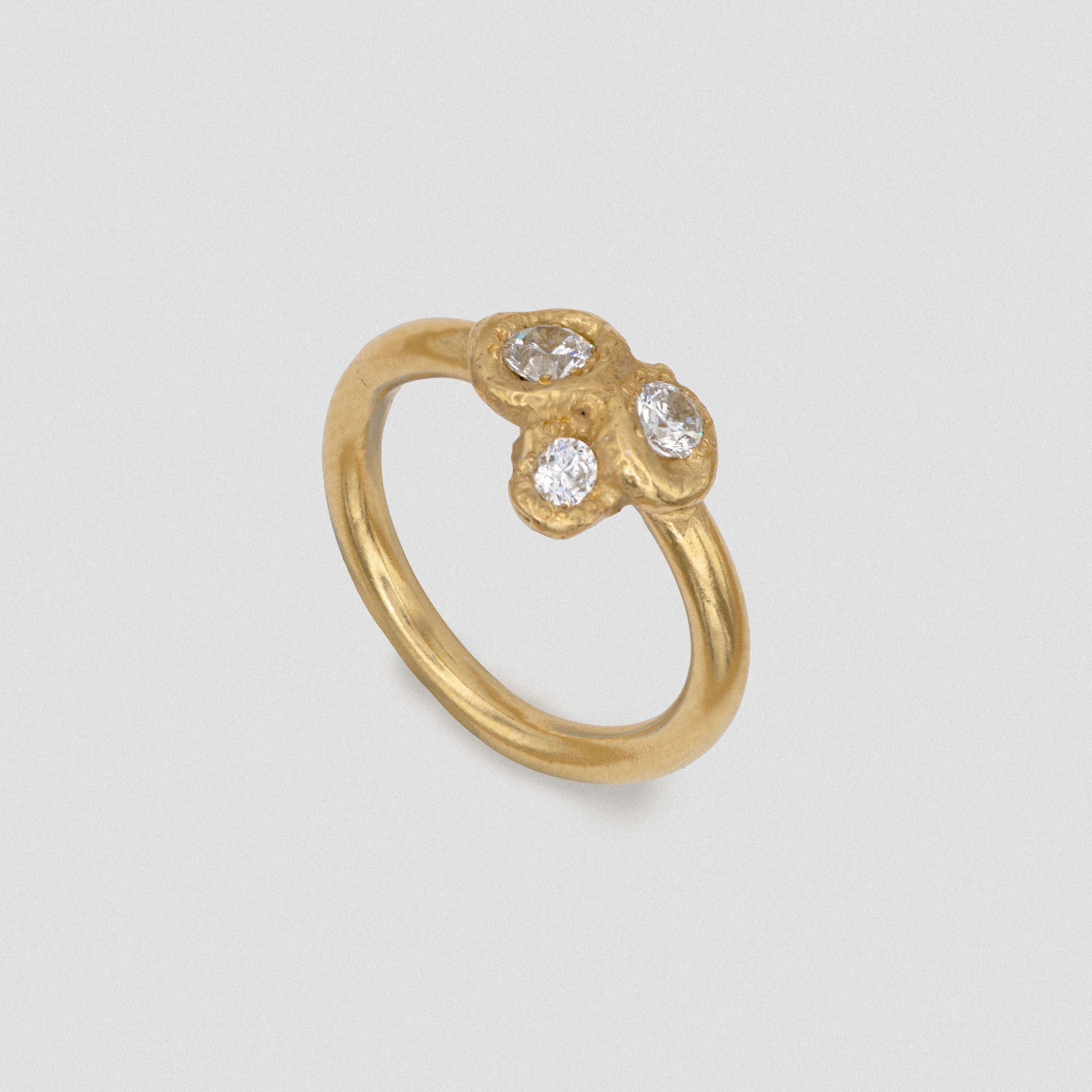 FIA RING