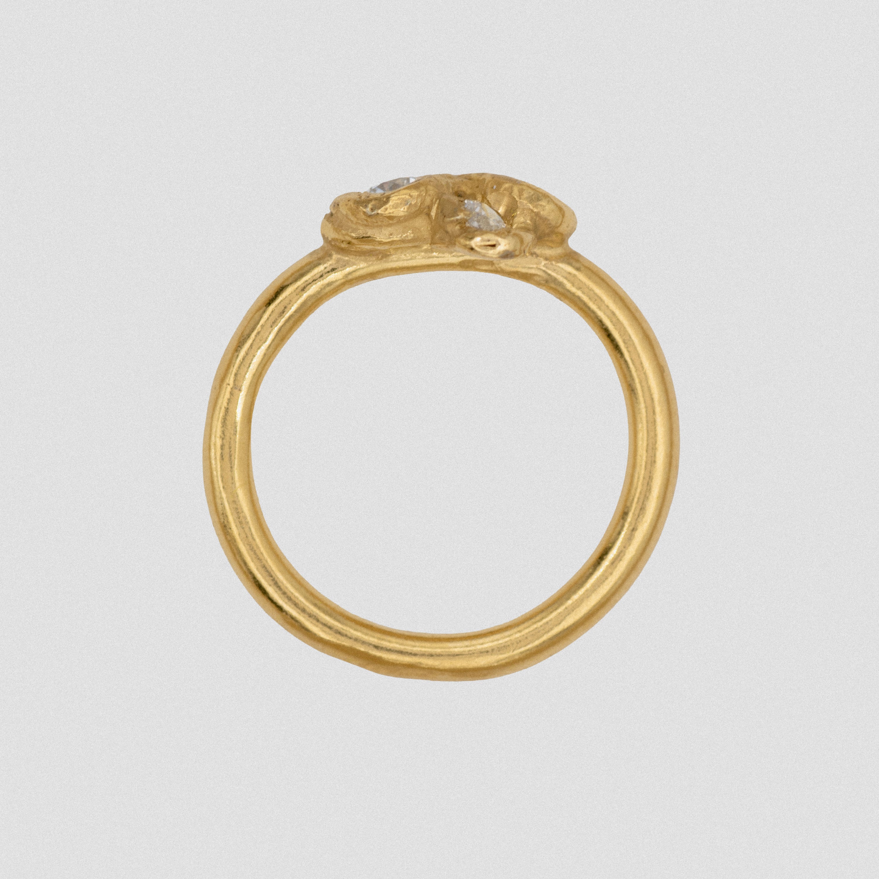 FIA RING